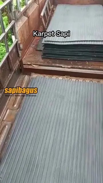 Karpet-Sapi
